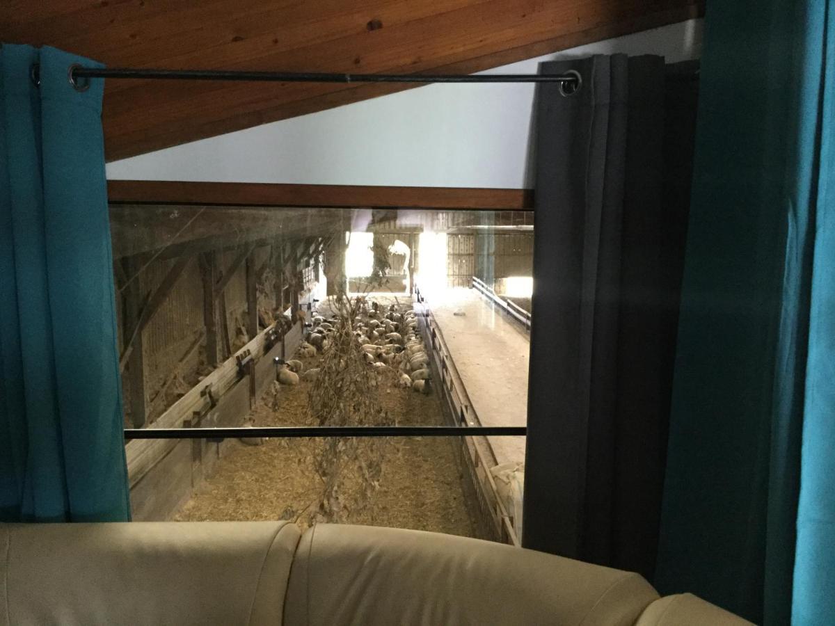 Le Loup Dans La Bergerie Bed & Breakfast Montmartin-sur-Mer ภายนอก รูปภาพ