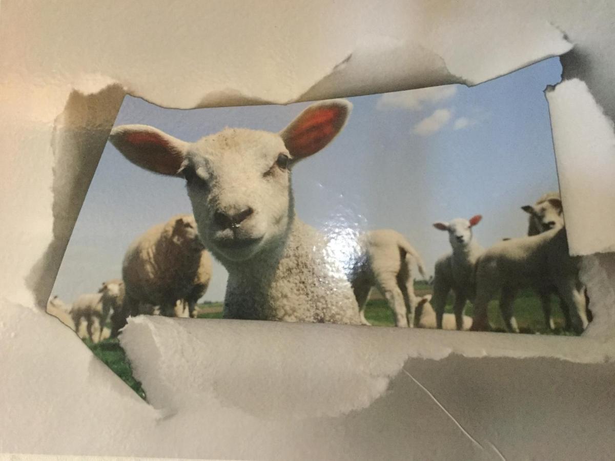 Le Loup Dans La Bergerie Bed & Breakfast Montmartin-sur-Mer ภายนอก รูปภาพ